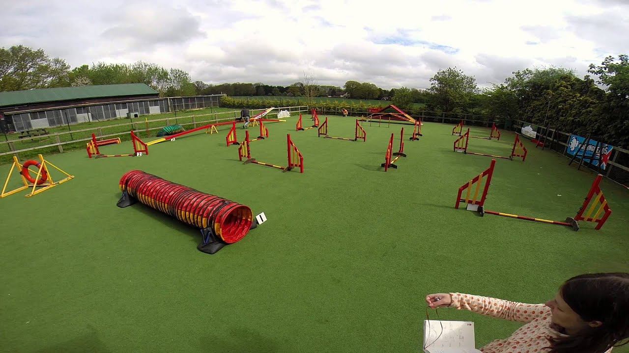 2nd Dachshund Agility Competition -- Puppies Give It A Go смотреть онлайн