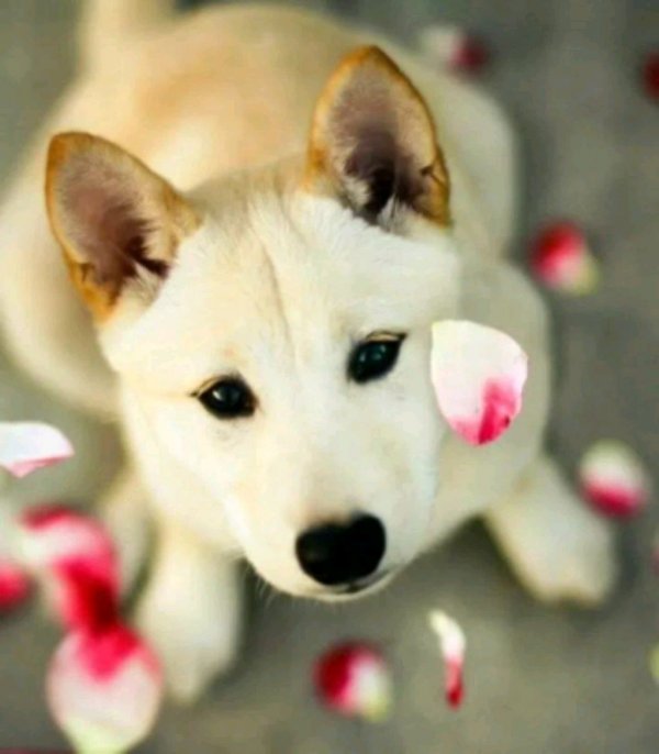 ПОСЛЕДНЕЕ ВОСКРЕСЕНЬЕ НОЯБРЯ!!