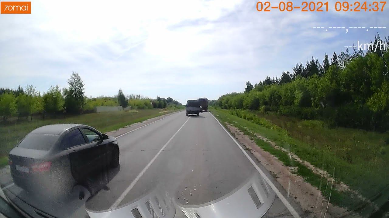 стадный рефлекс смотреть онлайн