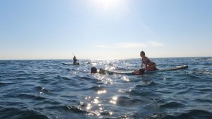 Оленевка Сентябрь 2024