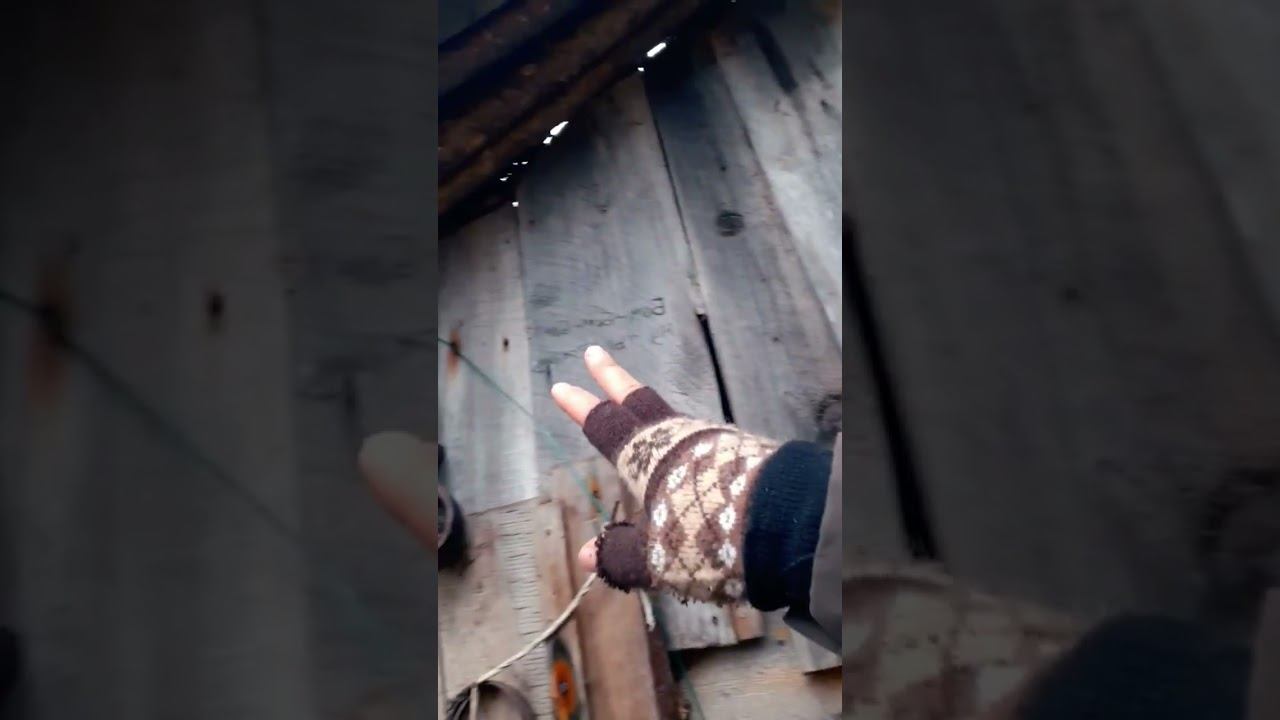 ИЗБА ДЕДА НА ОСТРОВЕ смотреть онлайн