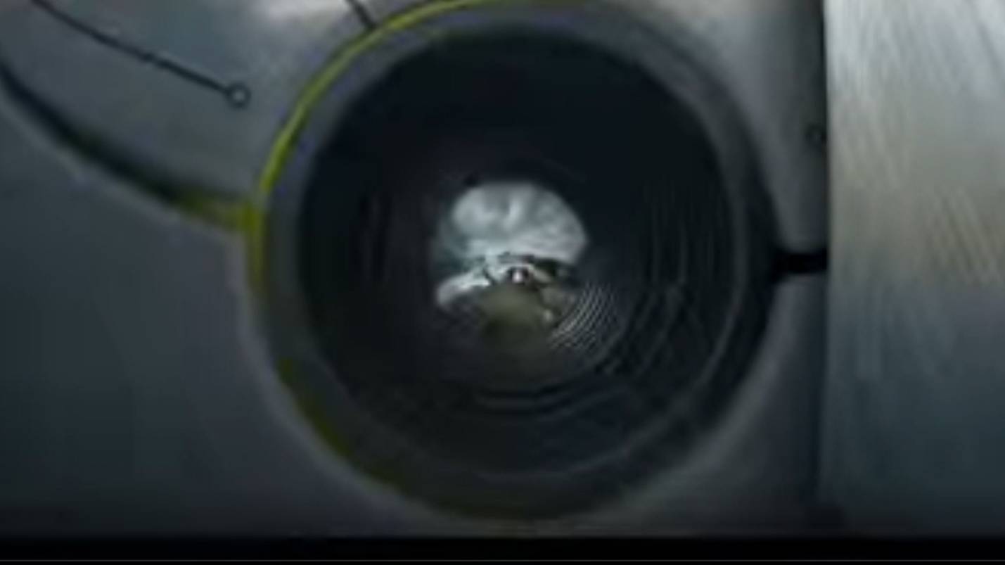 Дикий робот  трейлер