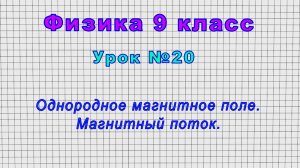 Физика 9 класс (Урок№20 - Однородное магнитное поле. Магнитный поток.)