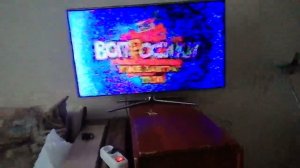 САМСУНГ нет сигнала