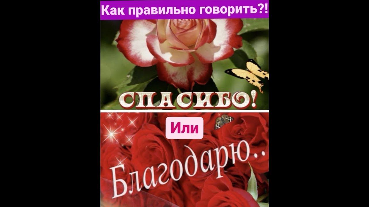 БЛАГОДАРЮ ИЛИ СПАСИБО?! Есть ли разница. смотреть онлайн