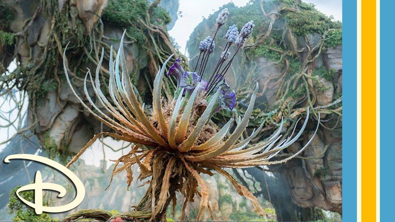 D*Tales: Discover the Flora of Pandora смотреть онлайн