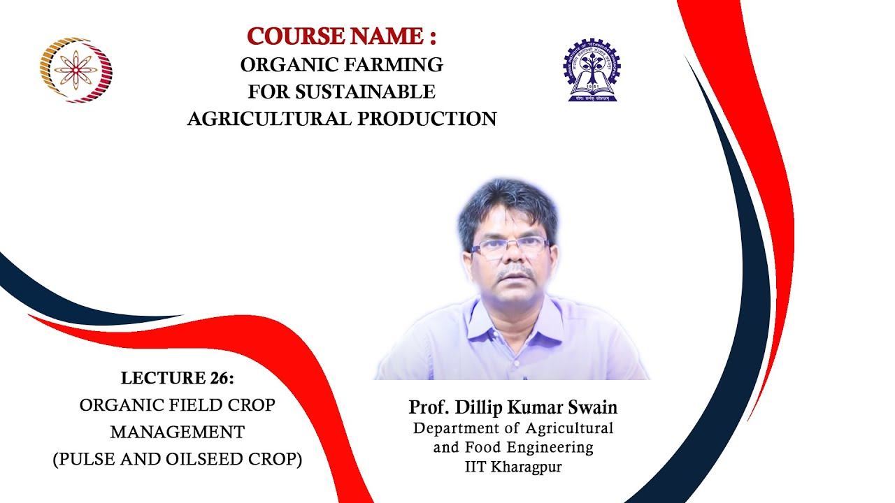 Lecture 26 : Organic Field Crop Management (Pulse and Oilseed Crop) смотреть онлайн