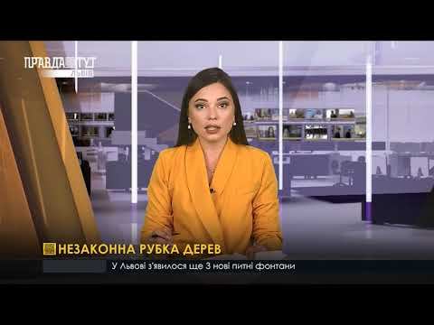 Незаконна рубка дерев І ВИПУСК НОВИН 14.08.2020