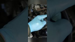 VW Tiguan 2.0 CAWA  замена маслосъёмных колпачков и ГРМ🔧 большое Т.О. нечего нового