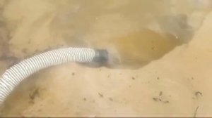 Мотопомпа грязевая.