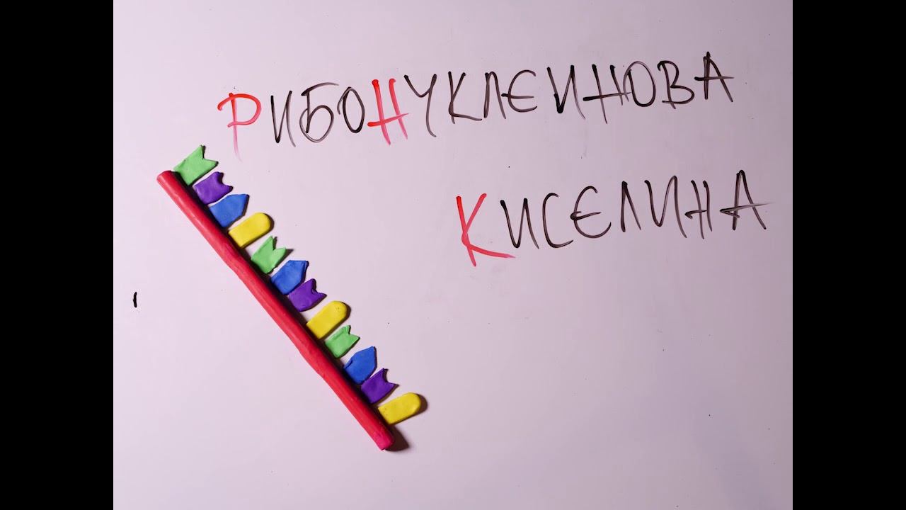 Нуклеинови киселини смотреть онлайн