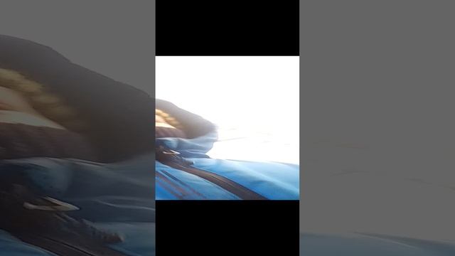 VID_20241124_144433.mp4