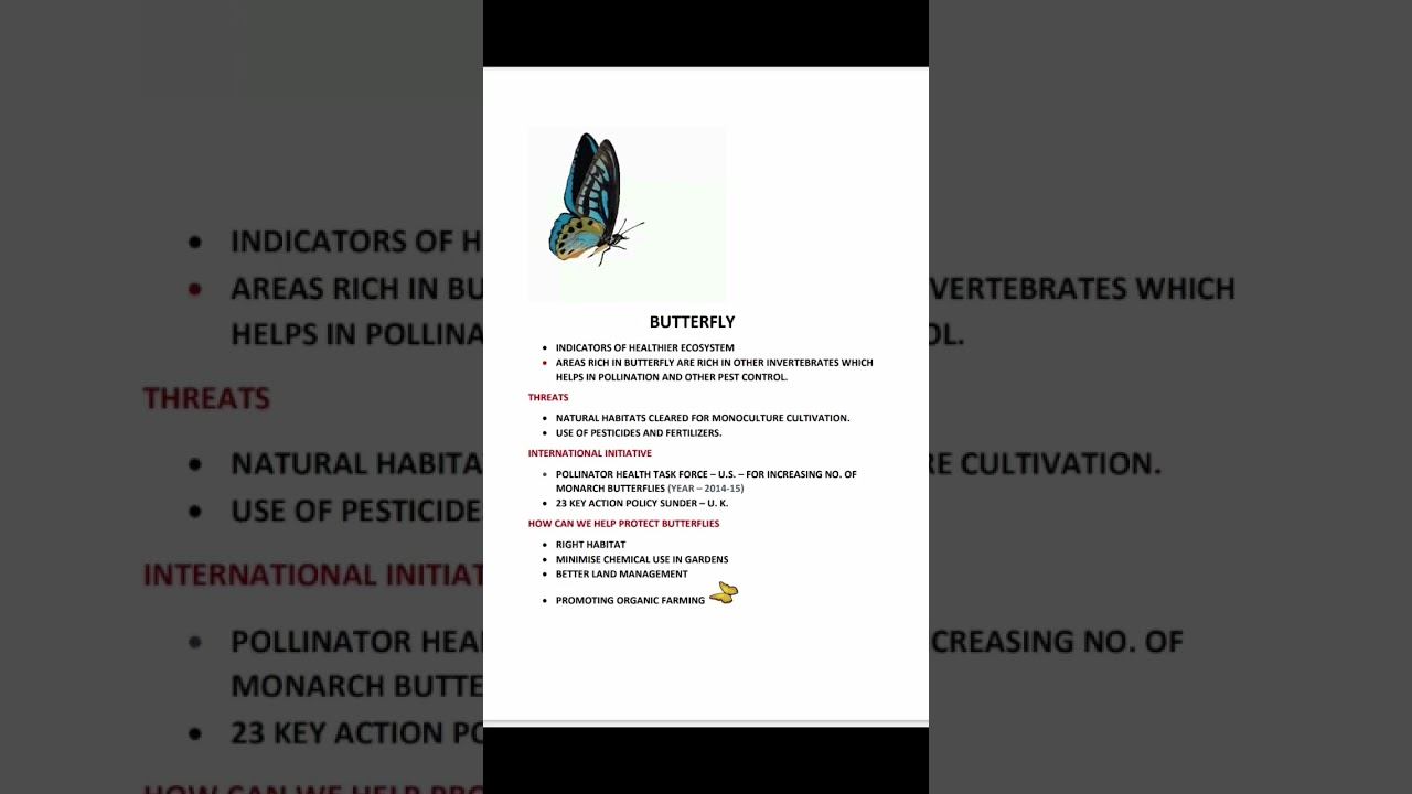 Butterfly facts # UPSC #zoology #iasexam #biologyclass12 #biologynotes #currentaffairs смотреть онлайн