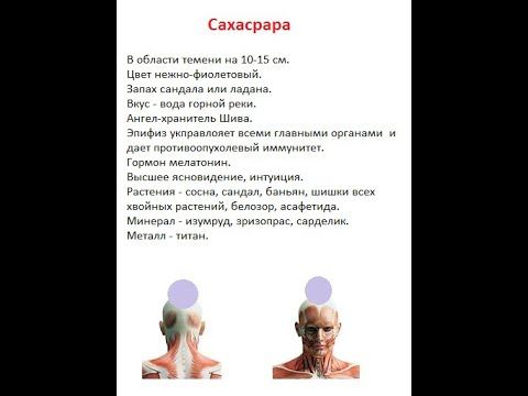 Сахасрара чакра смотреть онлайн