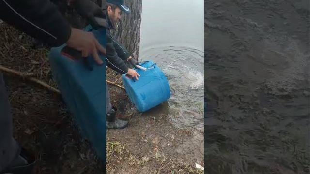 запуск смотреть онлайн
