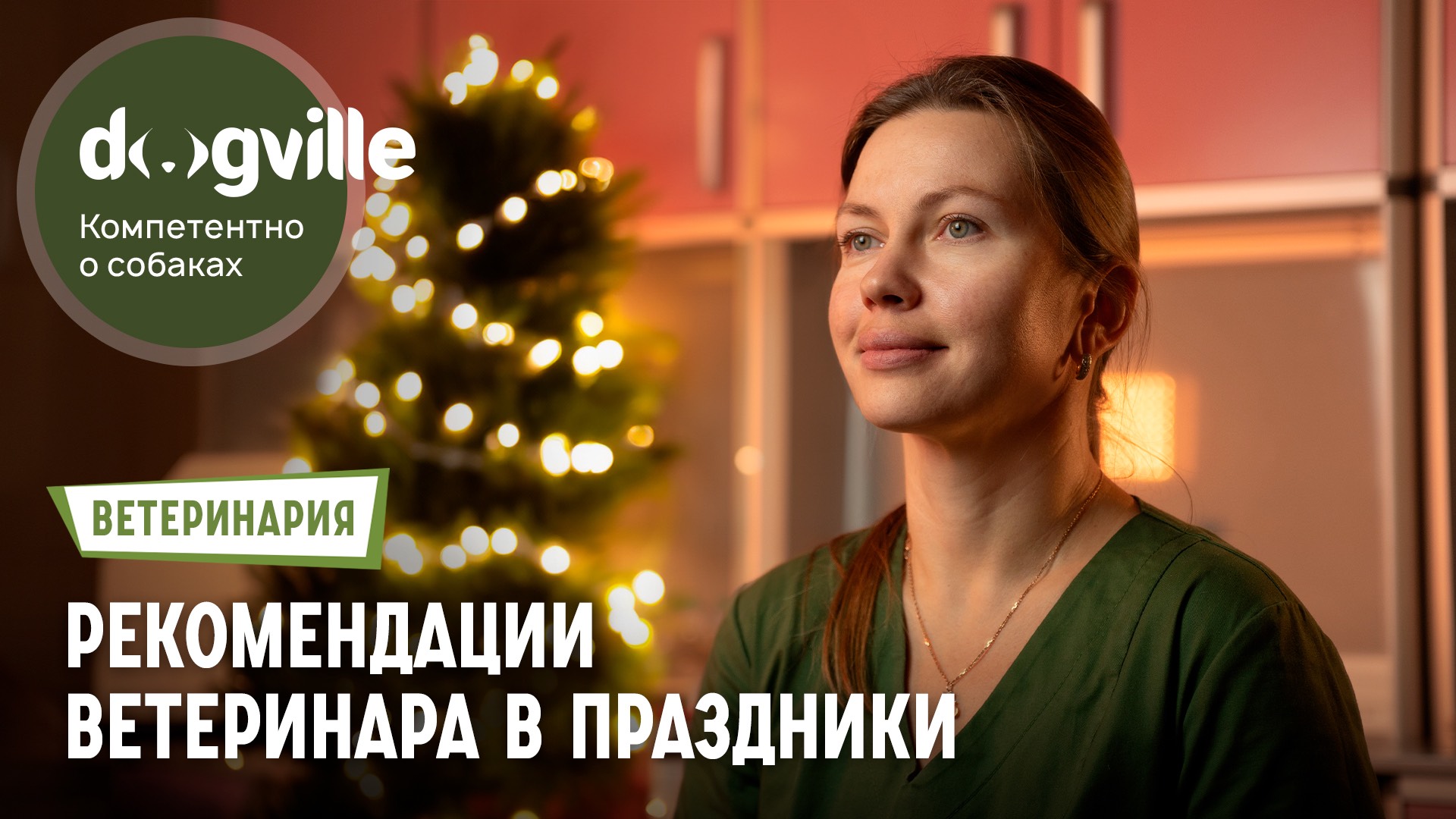 Новогодние праздники с собакой – рекомендации ветеринара