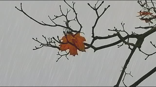 Уходит осень