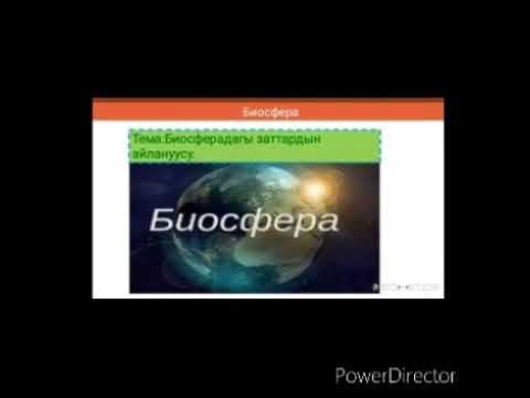 География. Биосферадагы заттардын айлануусу смотреть онлайн