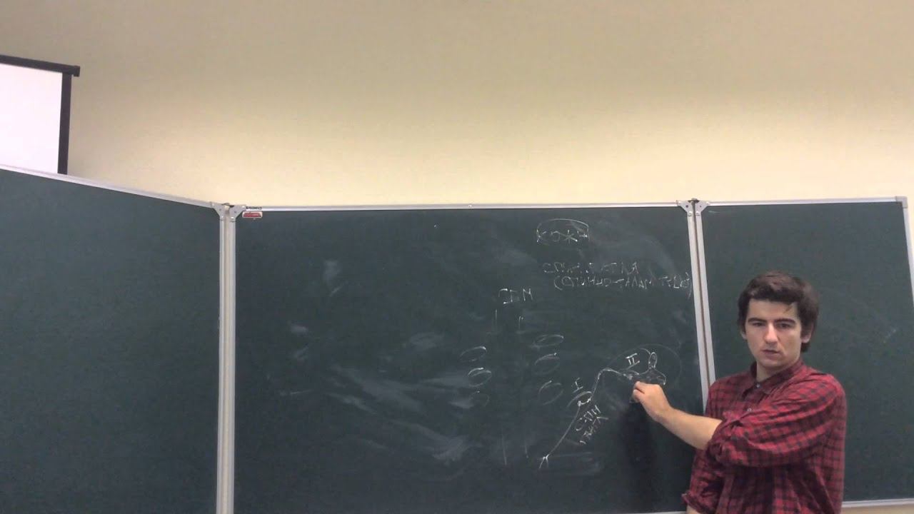 Анатомия от Леши. Часть 10. 22.12 смотреть онлайн