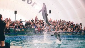 Дельфинарий г.Екатеринбург