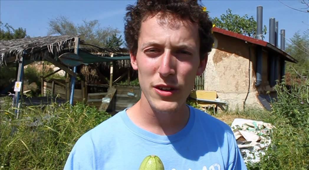 Permaculture Principle 6: Produce no waste смотреть онлайн