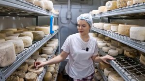 Как делают настоящий сыр? Секреты сыроварения от мастеров семейной фермы