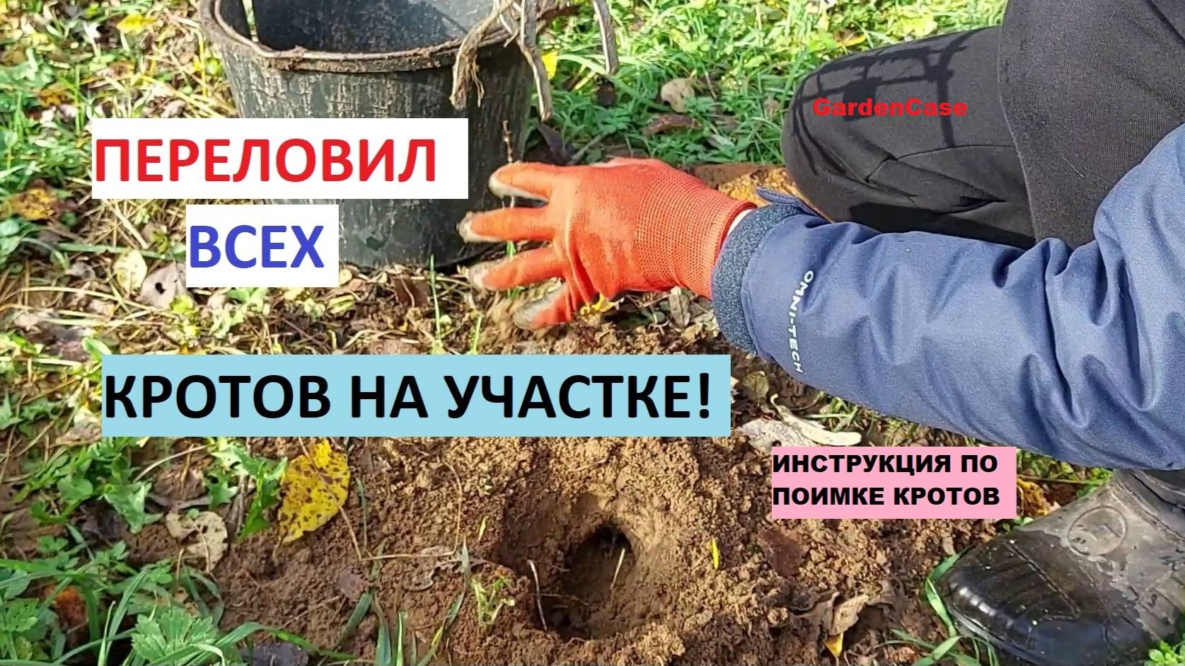 Как поймать крота. Переловил всех кротов на участке! Инструкция по установке ловушек.