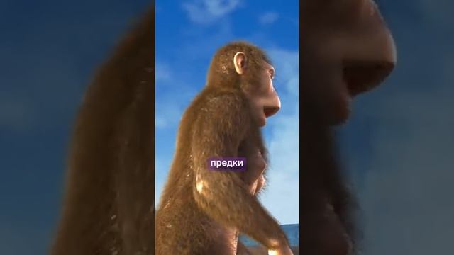 Мурашки - как возникают? смотреть онлайн