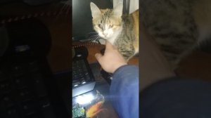 Видео регистратор LF9 pro в разобранном виде.