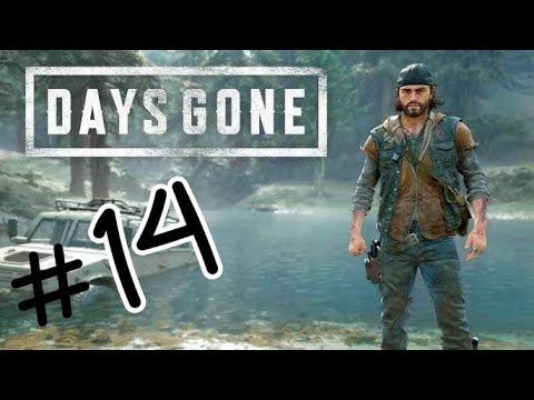Days Gone. Modo sobrevivência II. Parte 14. Ps5. смотреть онлайн