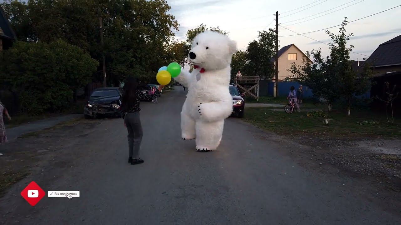 Белый Мишка Сюрприз. 19.09.2022 смотреть онлайн
