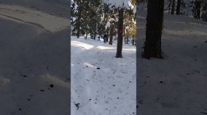 Группа Казанцева. Нургуш наносит ответный удар.