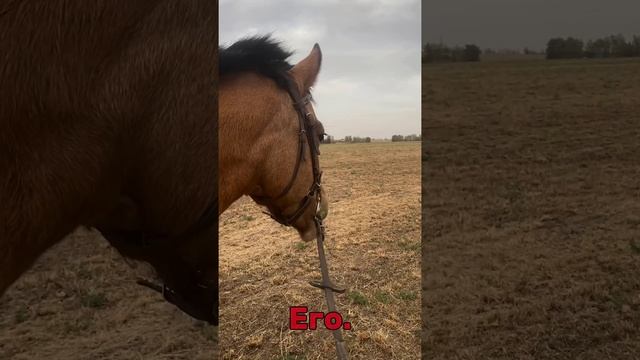 узнаю его из тысячи 😅