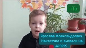 следствие вели