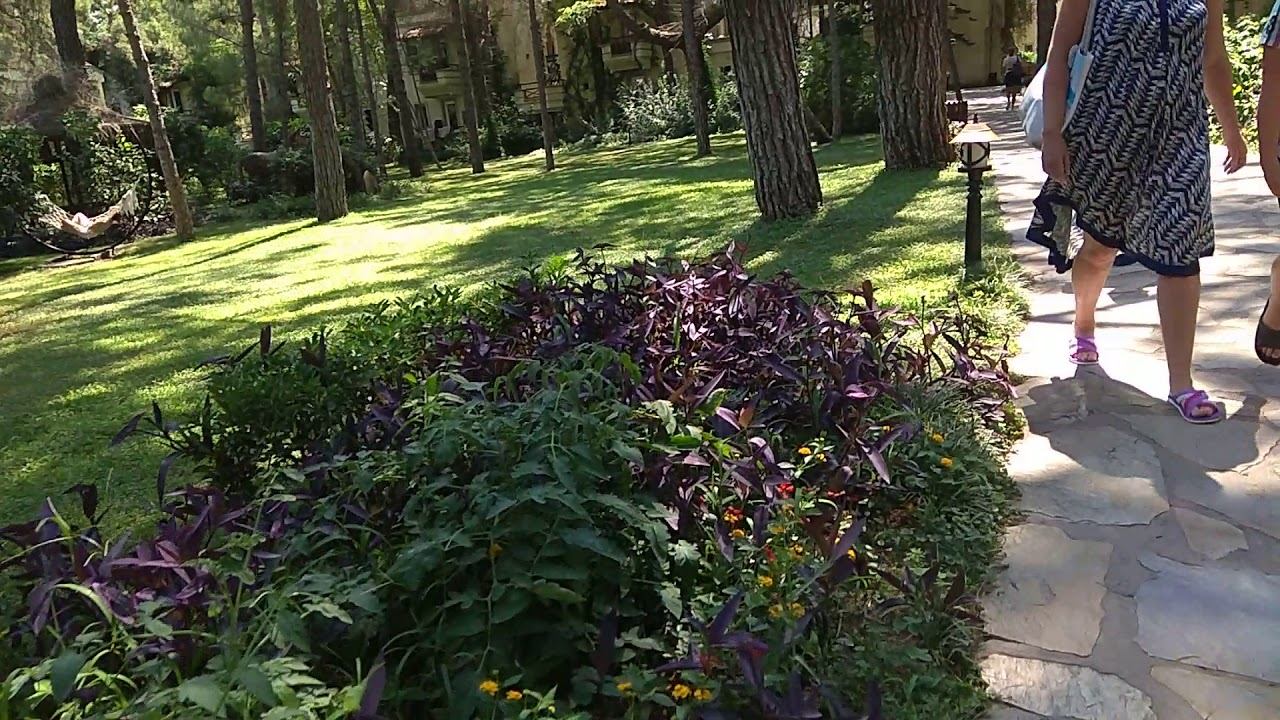 Club Zigana смотреть онлайн