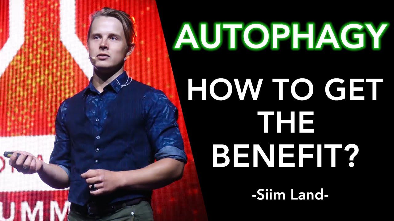 Balance Anabolism & Catabolism for Longevity & Performance (Siim Land) смотреть онлайн