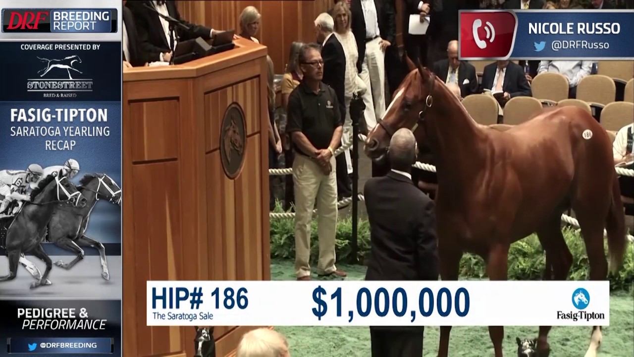 DRF Breeding Report - Fasig Tipton Saratoga Yearling Recap - August 9, 2017 смотреть онлайн