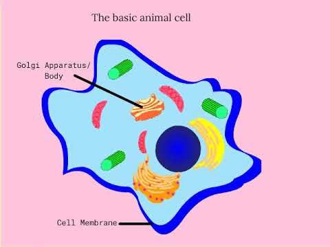 Cells смотреть онлайн