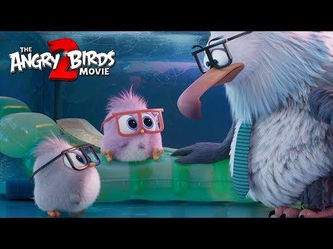 Take Your Hatchlings To Work Day | THE ANGRY BIRDS MOVIE 2
