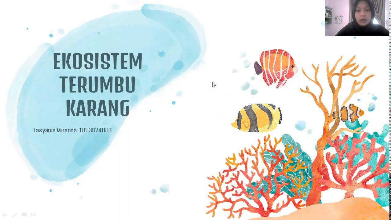 EKOSISTEM TERUMBU KARANG смотреть онлайн