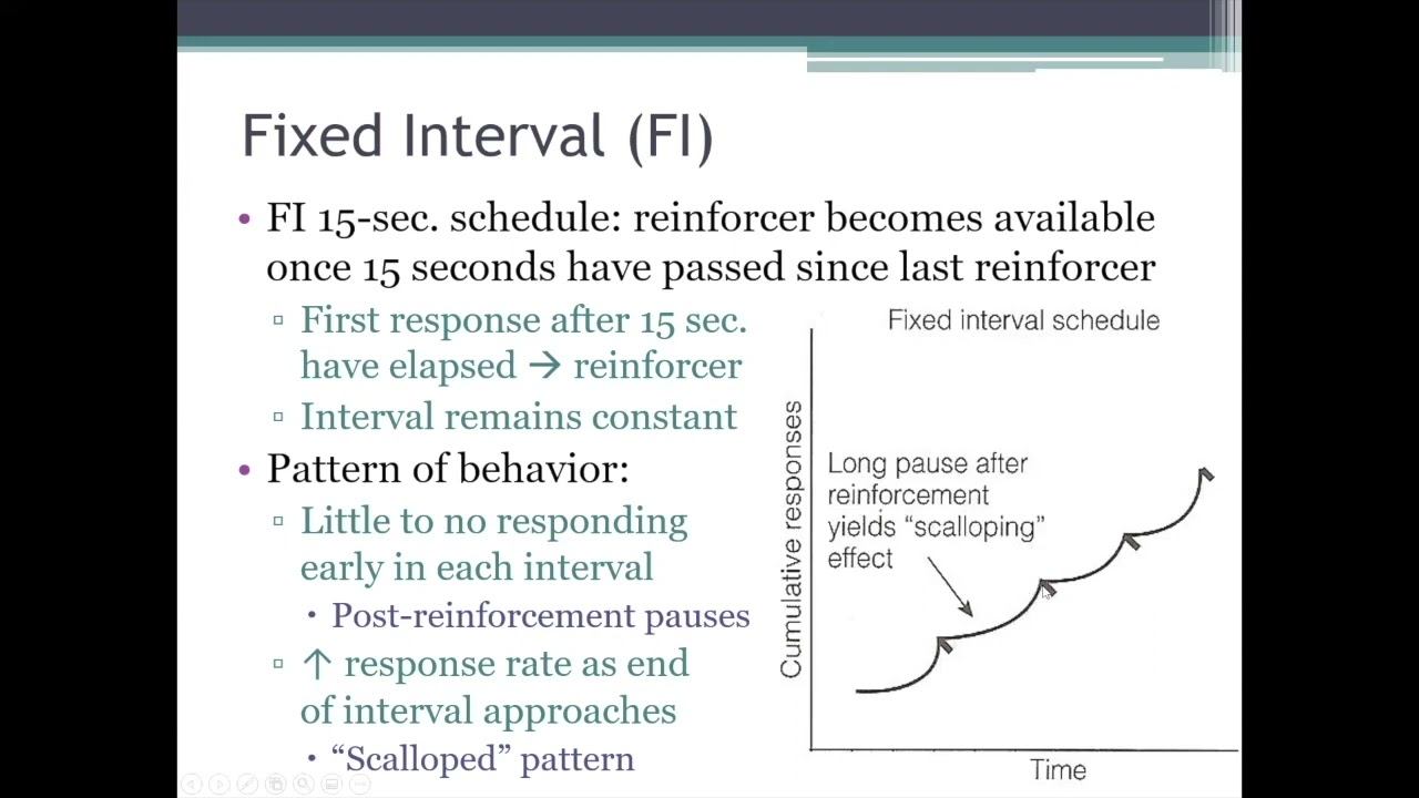 PSYC 370 Video Lecture - The Fixed Interval (FI) & Variable Interval (VI) Schedules of Reinforcemen смотреть онлайн