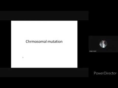 Chromosomal mutation- Numerical change of chromosome смотреть онлайн