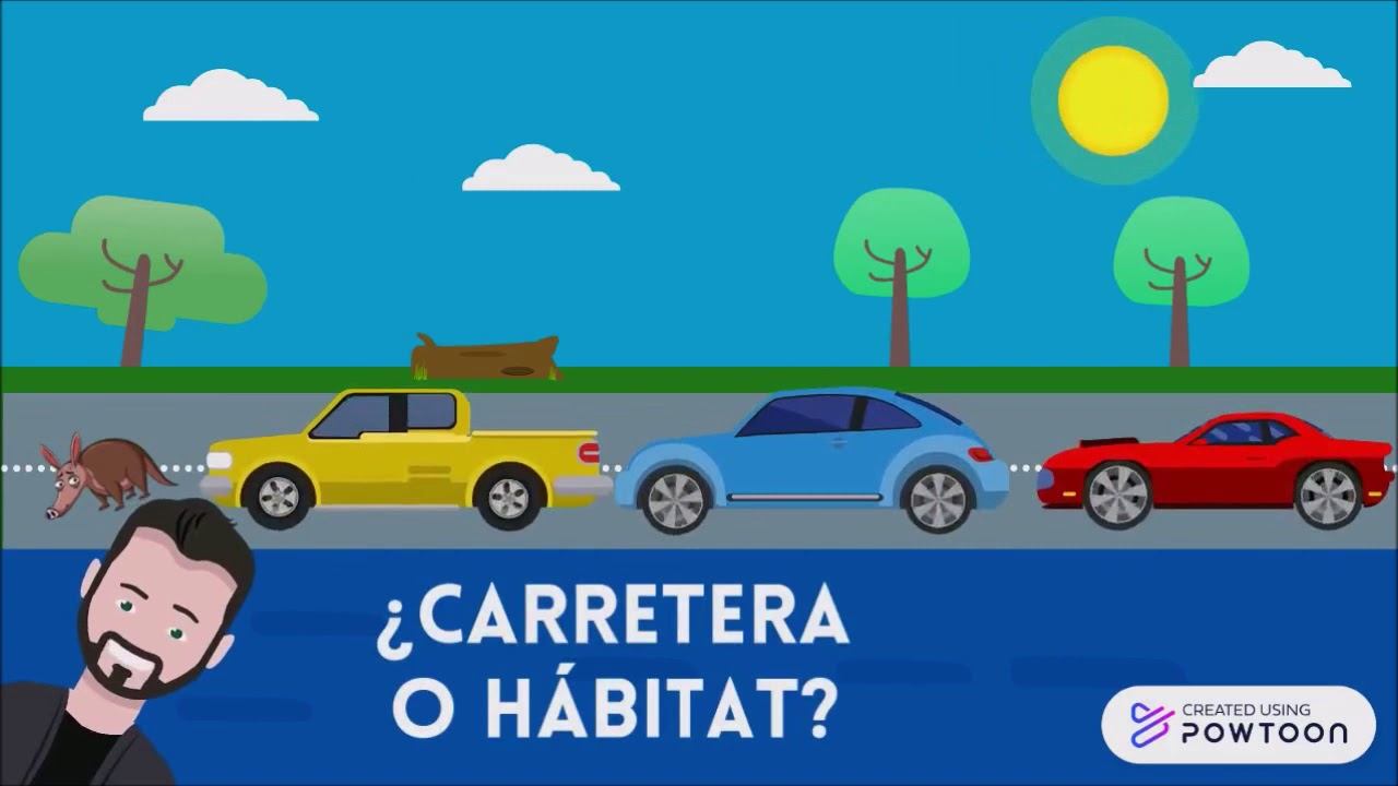 Flora y Fauna Costarricense, desafíos y protecciones que posee. смотреть онлайн