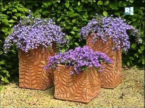 Addenda in Tuin & Trends 2007 смотреть онлайн