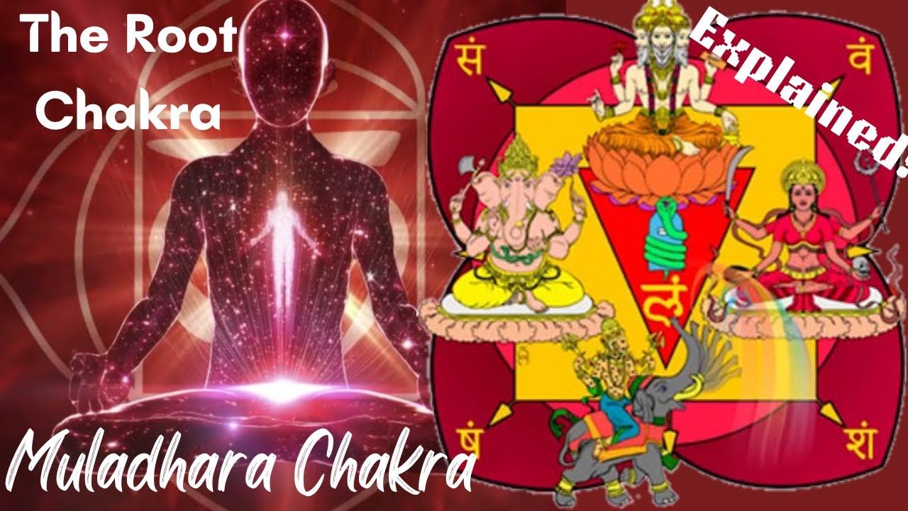 Muladhara Chakra Benefits & Deities | How to Activate it? | Step by Step Procedure Explained смотреть онлайн