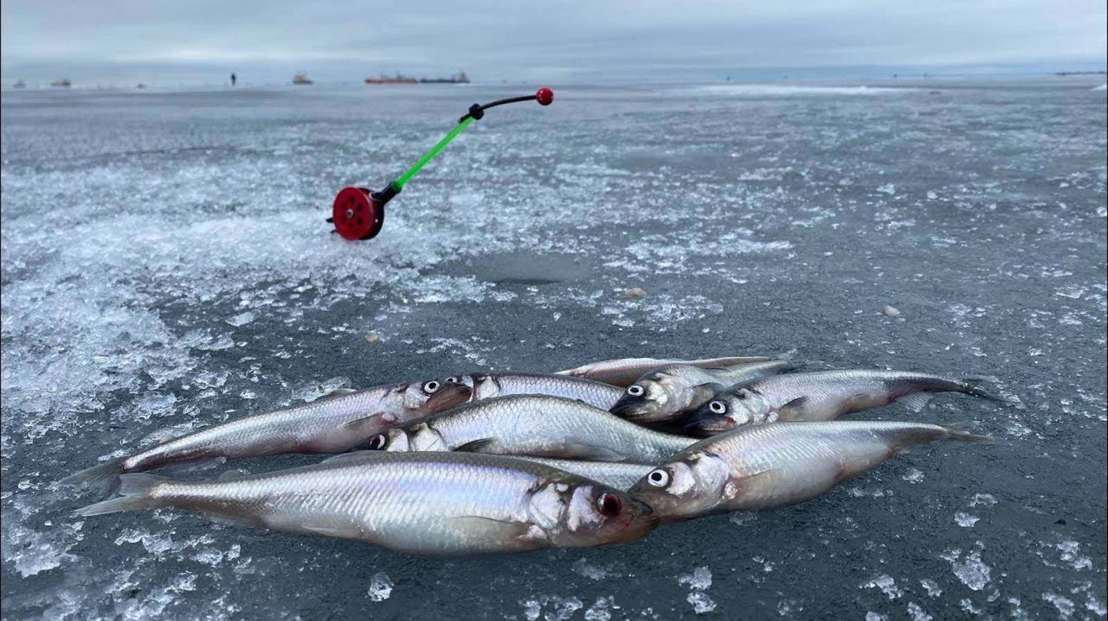 Зимняя рыбалка на корюшку | Ловля корюшки на дамбе Финского залива | Февраль 2021 смотреть онлайн