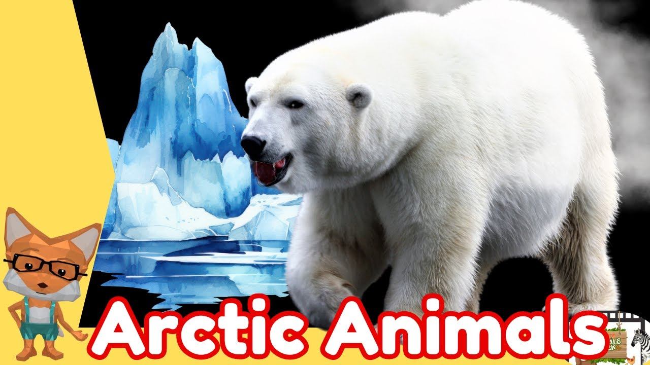 ARCTIC ANIMALS: Animal Videos For Kids- Animals Rock TV смотреть онлайн
