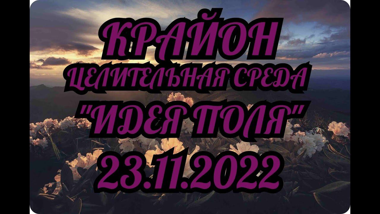 КРАЙОН ЦЕЛИТЕЛЬНАЯ СРЕДА "ИДЕЯ ПОЛЯ" 23.11.2022 смотреть онлайн