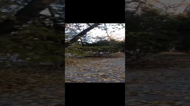 последние тëплые деньки