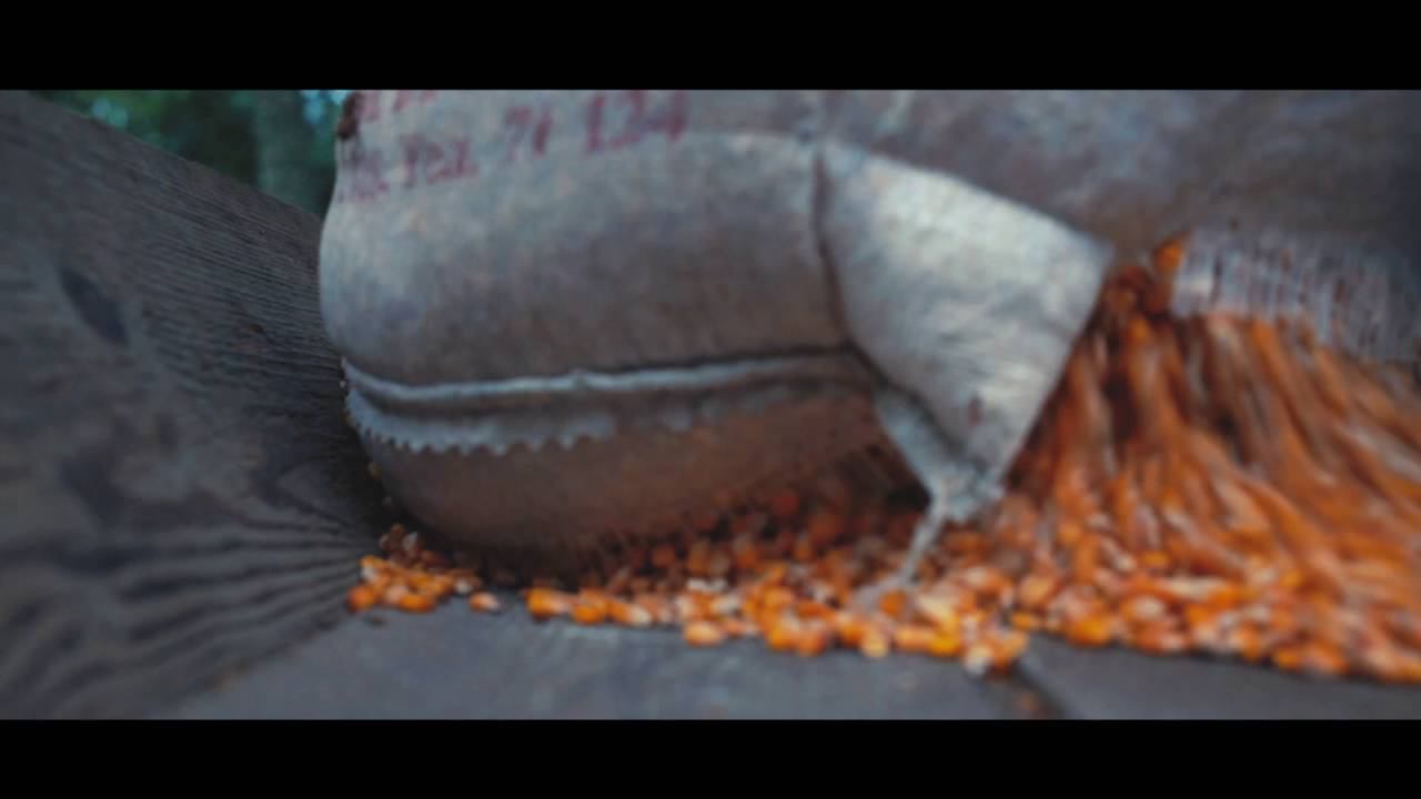 Егерь смотреть онлайн